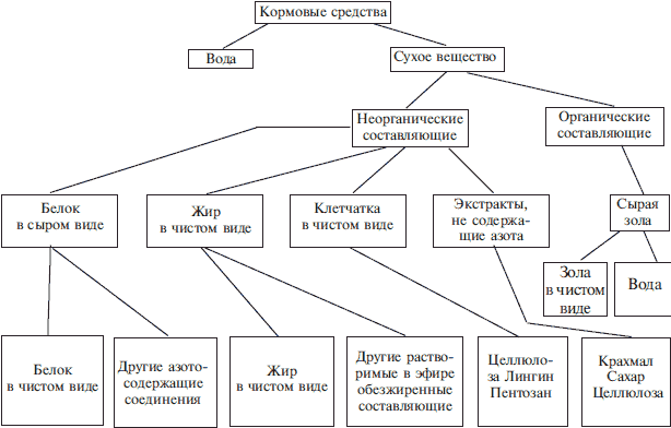 Справочник по домашнему голубеводству