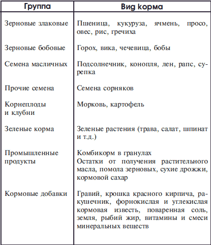 Справочник по домашнему голубеводству