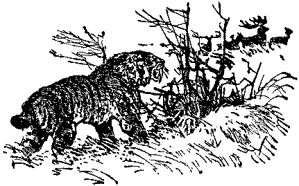 Плутония. Земля Санникова