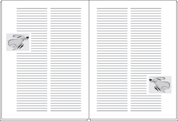 Adobe InDesign CS3