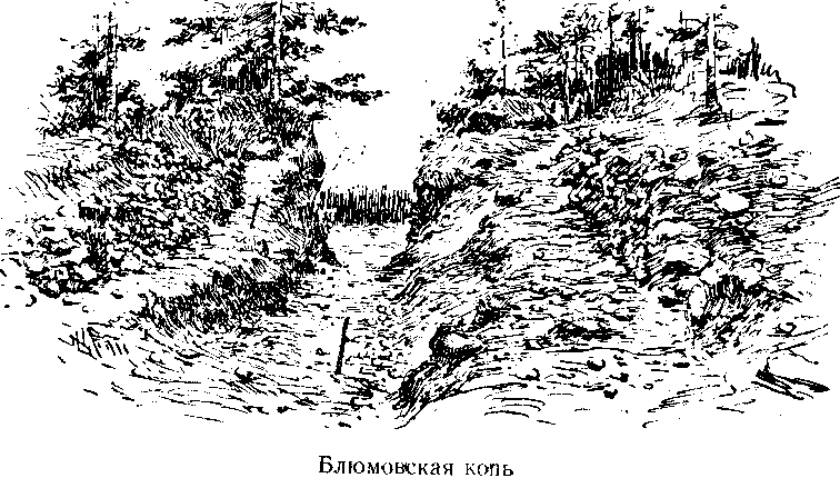 Следопыты Ильменских гор