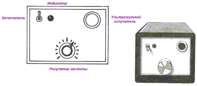 Мост между мирами