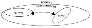 Лабиринты мышления, или Учеными не рождаются