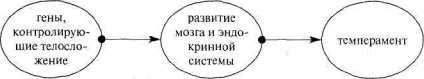 Лабиринты мышления, или Учеными не рождаются