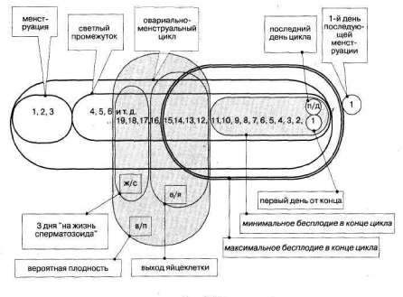 Лабиринты мышления, или Учеными не рождаются