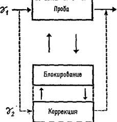 Языки мозга: Экспериментальные парадоксы и принципы нейропсихологии