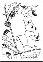 Большая книга аппликаций из природных материалов
