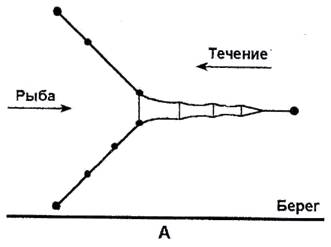 Щука. Все способы ловли