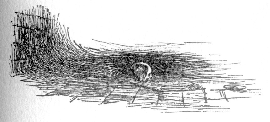 The Canterville Ghost (Ill. Wallace Goldsmith)