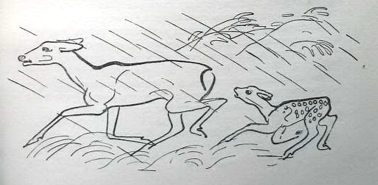 Бемби