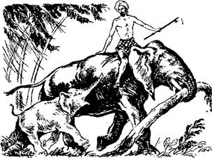 За тобой по следам по неведомым. За тобой по следам по неведомым. Громова ариадна по следам неведомого. Громова комаров по следам неведомого купить. , комаров в.