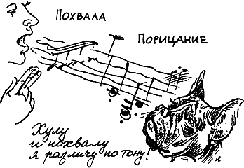 400 советов любителю собак