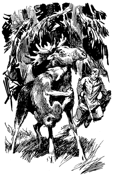 Пират
