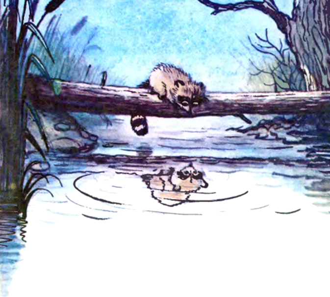 Крошка Енот и тот, кто сидит в пруду