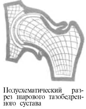 О ловкости и ее развитии