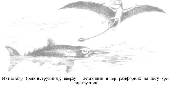 О ловкости и ее развитии