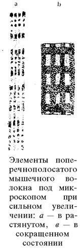 О ловкости и ее развитии