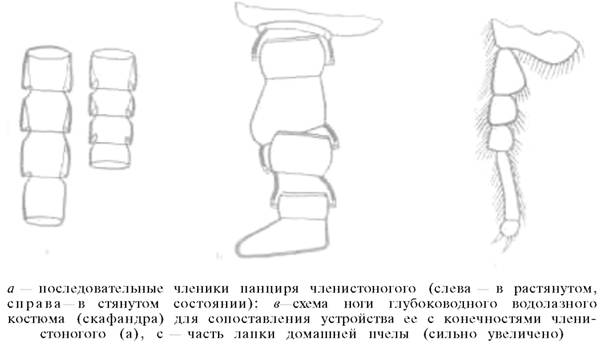 О ловкости и ее развитии