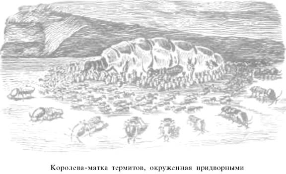 О ловкости и ее развитии