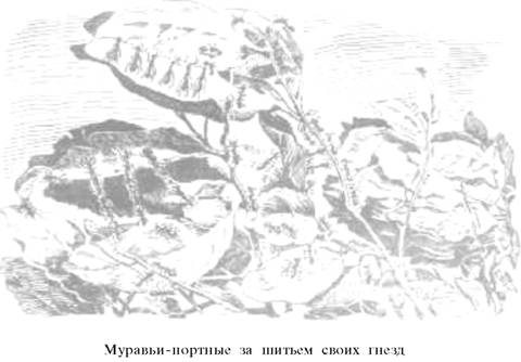 О ловкости и ее развитии