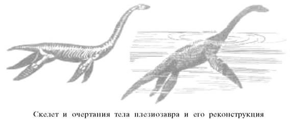 О ловкости и ее развитии