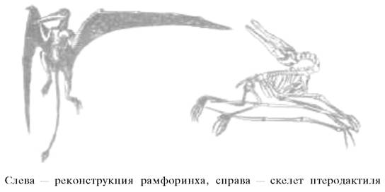О ловкости и ее развитии