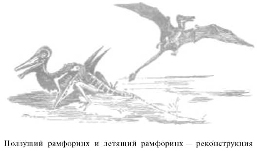 О ловкости и ее развитии