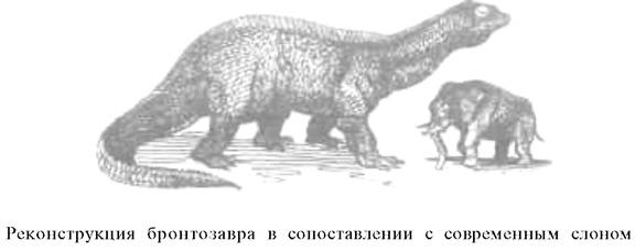 О ловкости и ее развитии