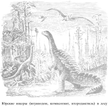 О ловкости и ее развитии