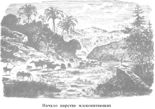 О ловкости и ее развитии