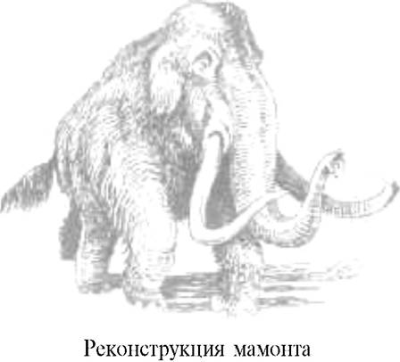 О ловкости и ее развитии