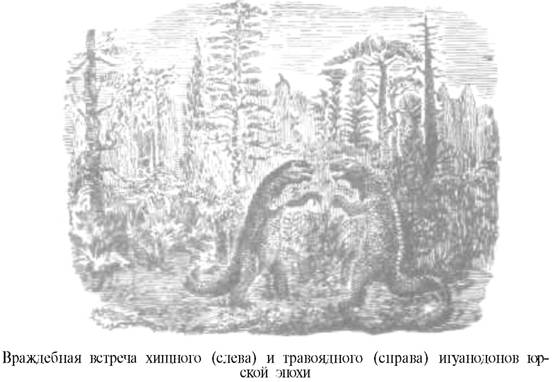 О ловкости и ее развитии