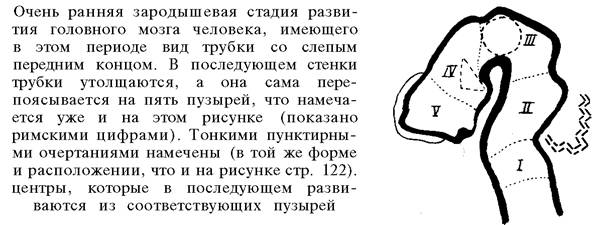 О ловкости и ее развитии