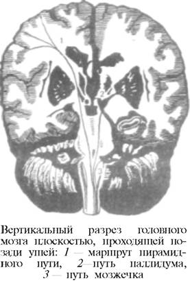 О ловкости и ее развитии
