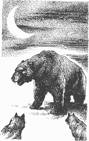 Гремящий мост