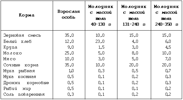 Что нельзя давать крысам домашним. Рацион крыс домашних таблица. Рацион питания крысы на день. Рацион декоративных крыс таблица. Таблица рациона питания крыс.