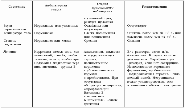 Декоративные кролики