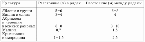 Планировка участка