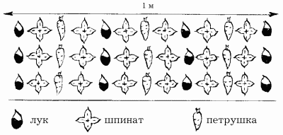 Планировка участка