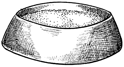 Шиншиллы