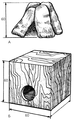 Шиншиллы