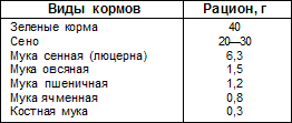 Шиншиллы