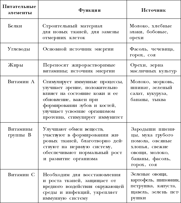 Функции белков жиров углеводов в организме