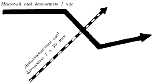 Собаки от А до Я