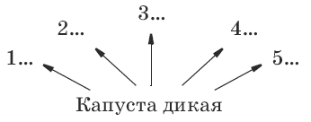 Тесты по биологии. 6 класс