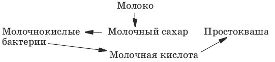 Тесты по биологии. 6 класс