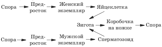 Тесты по биологии. 6 класс