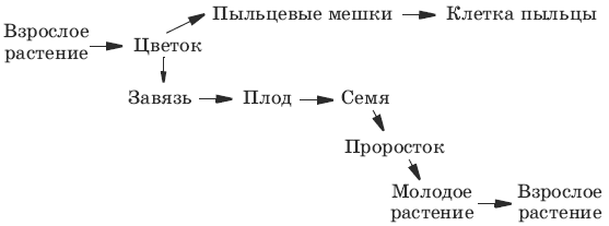 Тесты по биологии. 6 класс