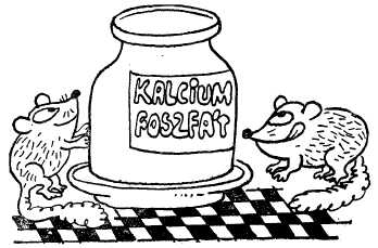 Заводи кого угодно, только НЕ КРОКОДИЛА!