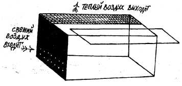 Заводи кого угодно, только НЕ КРОКОДИЛА!